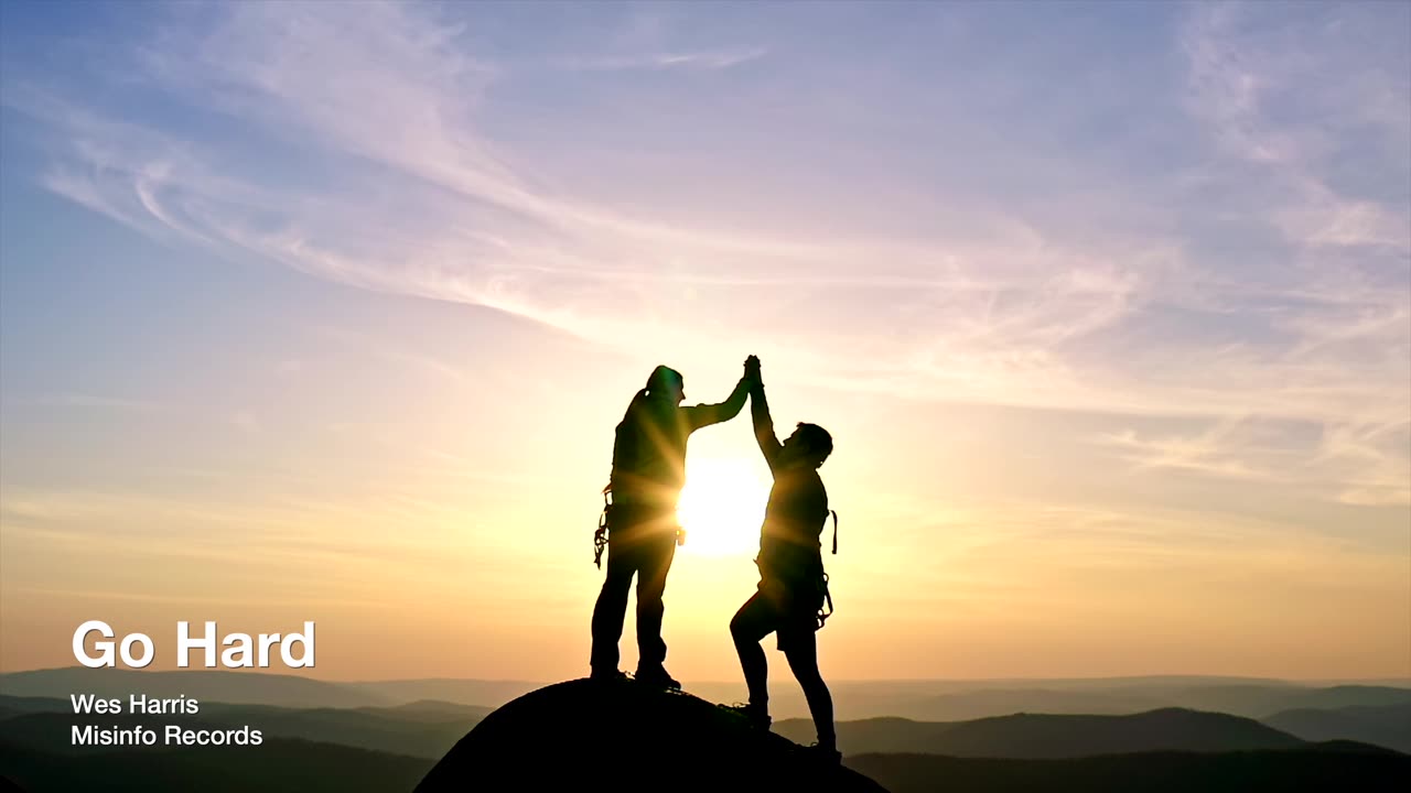 Misinfo Records - Go Hard