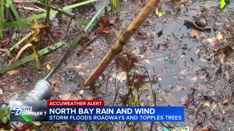 Atmospheric river floods roads and topples trees across Bay Area: Storm impacts