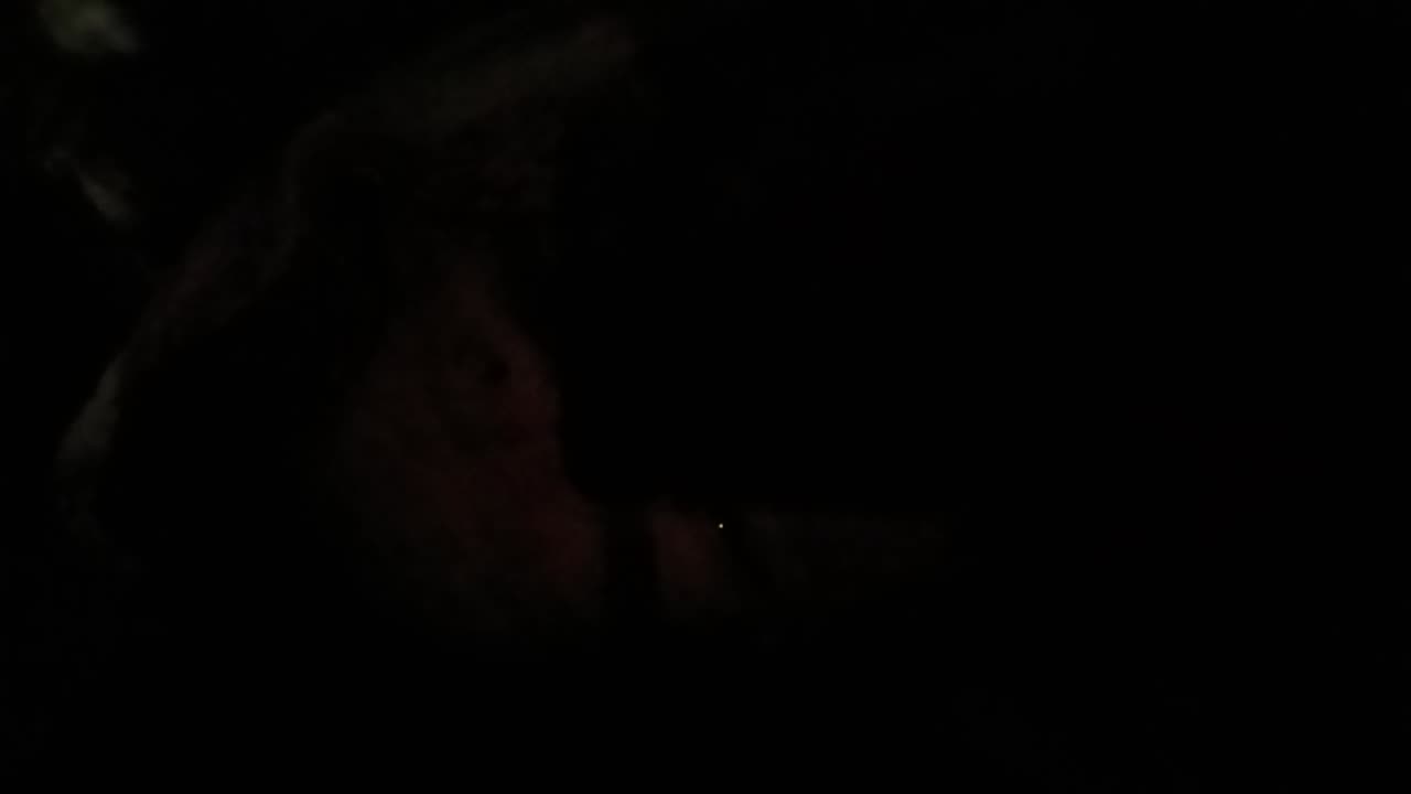 Z17