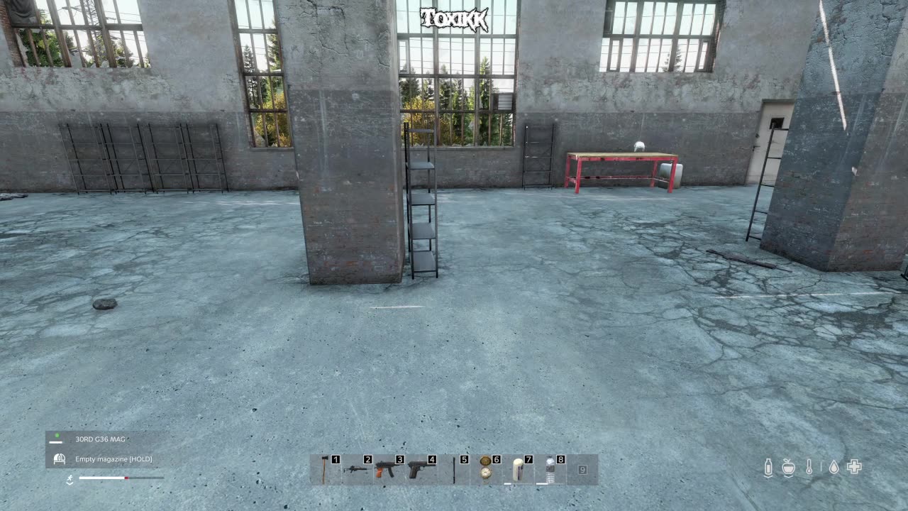 I'm sorry! I was talking to the horse. (DayZ)
