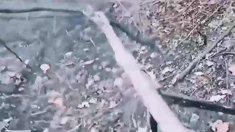 Ukrainian Squad Storms Trench and Eliminates Russian Soldiers, Donbass Frontline - 2022