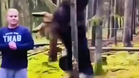 Funny Animals 2024 😂 - Funniest Cats and Dogs video 🐱 🐶 #shorts