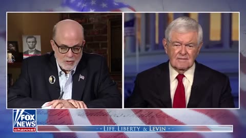 Newt Gingrich: The left is 'terrified' and lying relentlessly