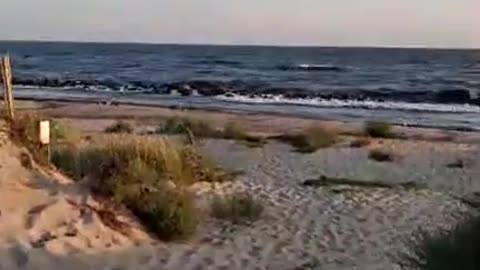Live. På väg ner till Löderups strandbad om kvällen 29 Juli 2025