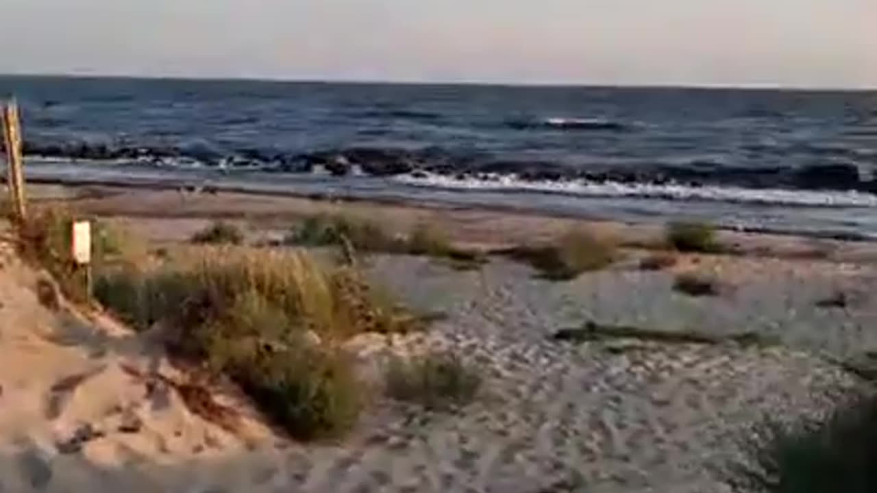 Live. På väg ner till Löderups strandbad om kvällen 29 Juli 2025