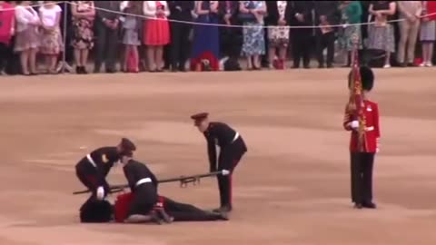 The Royal Guards to the king
