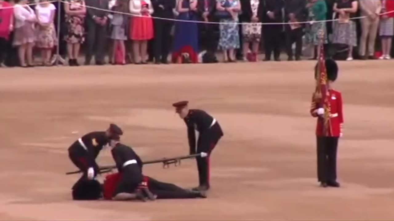 The Royal Guards to the king