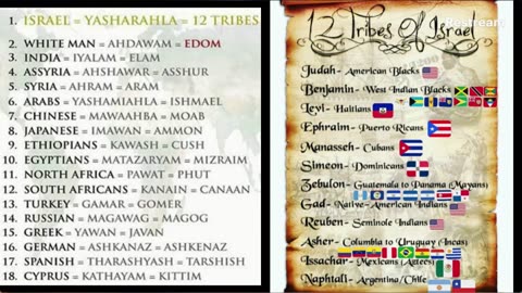 Digital Identification leads to M.O.T.B. manifestation #MICRO-C:HIP (PART 2)