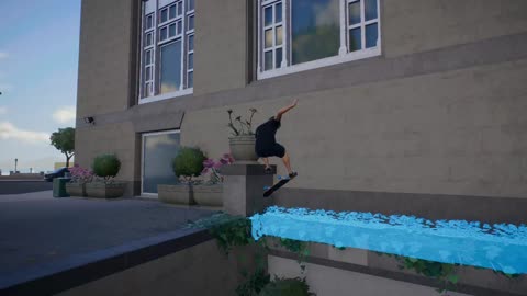 Window Washer - skate.