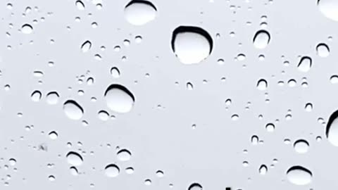 Scientific Accidents — Entry #17: Scotchgard