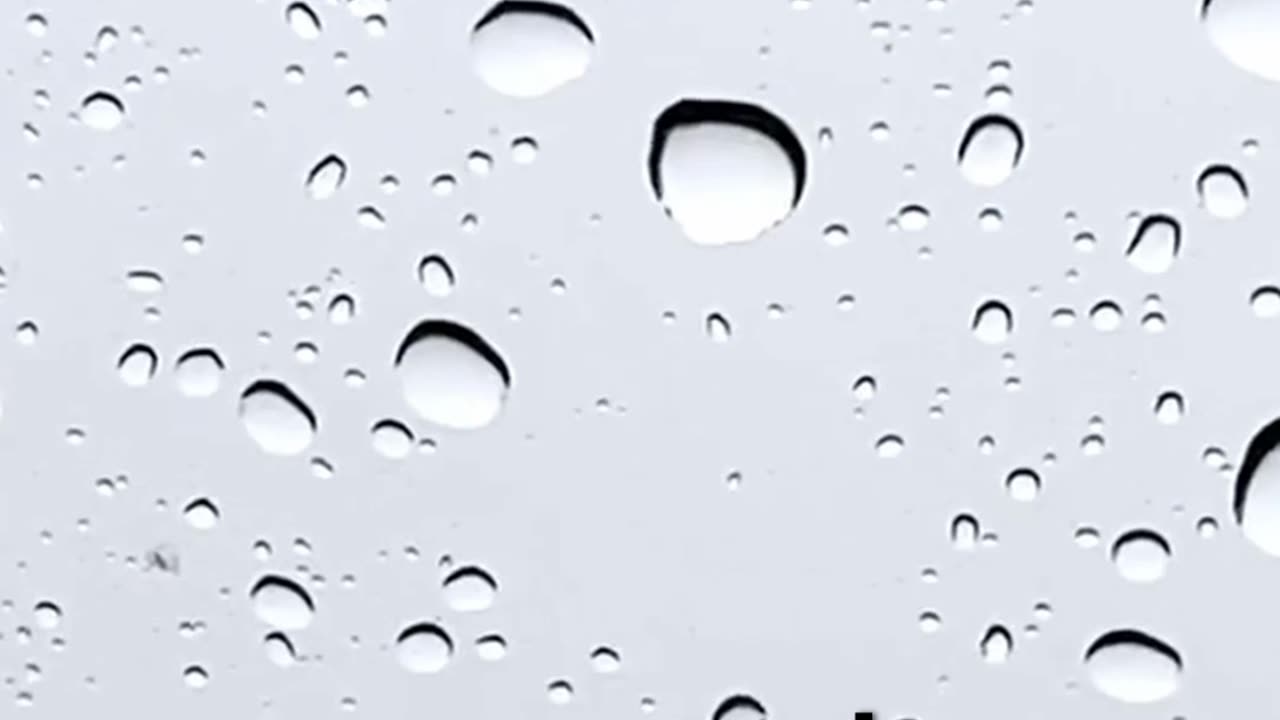 Scientific Accidents — Entry #17: Scotchgard