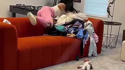 Humor, prank