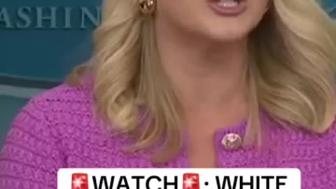 White House press secretary Leavitt provided an update on the Gulf of America ?