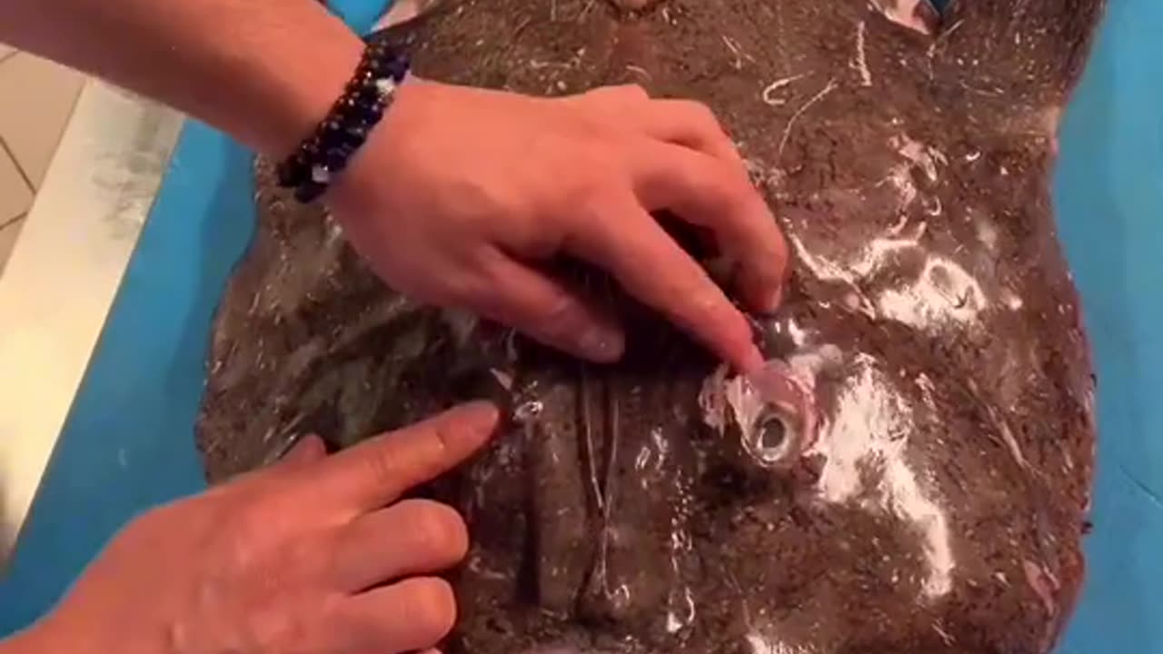 All You Can Eat Mukbang