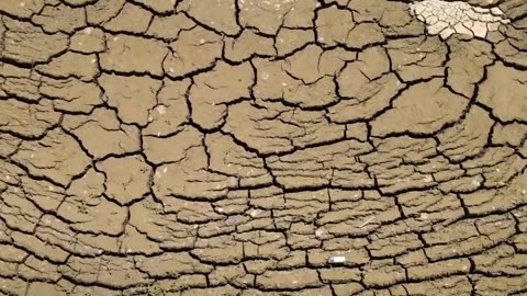 Récord histórico de CO₂: se superaron las 430 ppm
