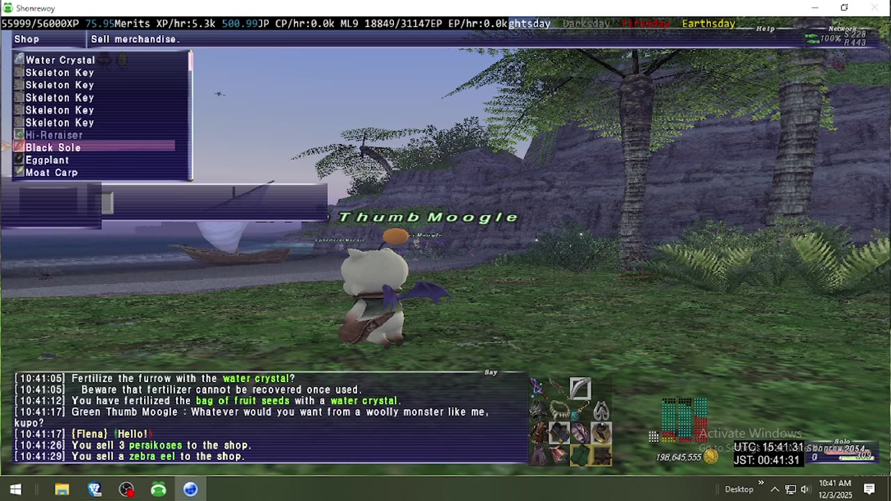 Playing Final Fantasy XI Online