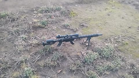 Ruger Precision Rimfire