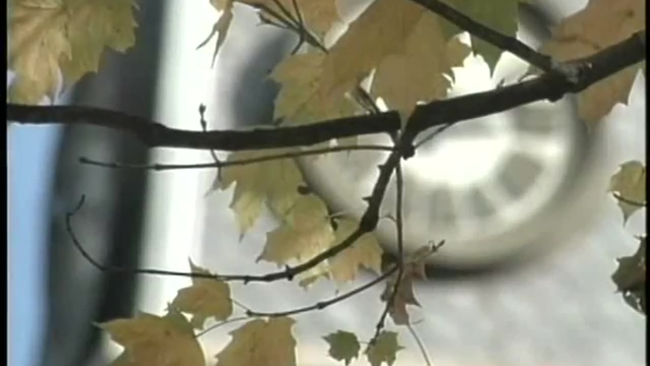 November 12, 1994 DePauw University Halftime Video