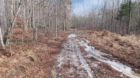 Repairing Roads - Horse Trails Part 1.