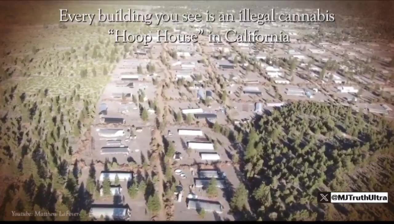 If you smoke weed in the U.S., you might be getting poisoned by illegal Chinese pesticides.