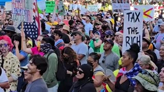 These No Kings Protesters Have Such a Way with Words...