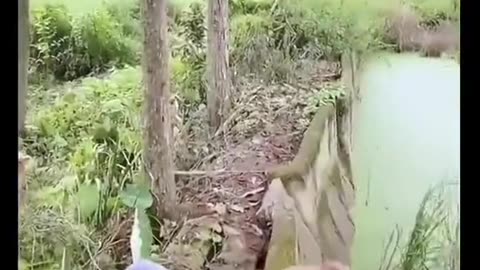 🤣🤣🤣Full Funny Video Best Funny Video