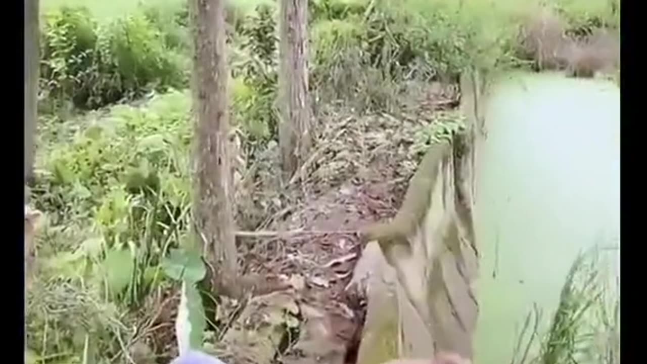 🤣🤣🤣Full Funny Video Best Funny Video