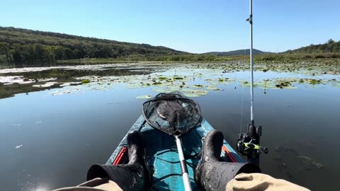 Big largemouth bass day with my daughter out on the lake
