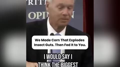 Wir haben Mais so verändert ❓😳