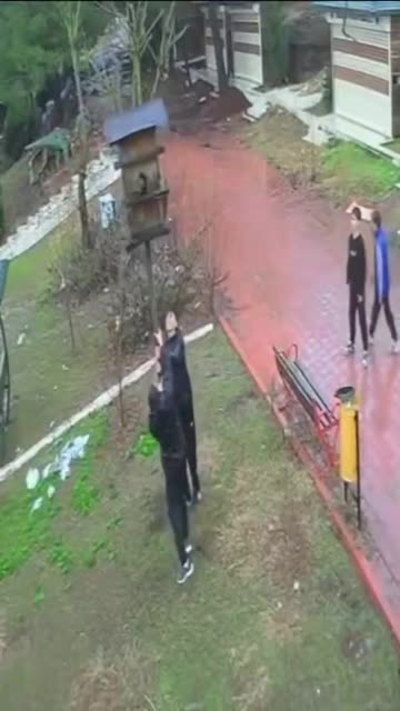 Turkish Muslims kill baby birds, destroy nest