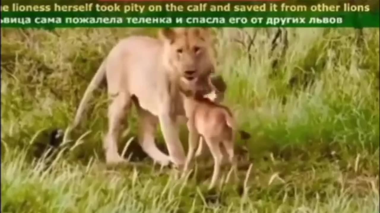 wonders of the world