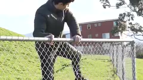 How Animals Get Over a Fence (With Emojis) 😂
