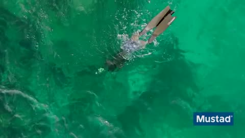 Spear Fishing Monster Lobsters and Hogfish in the Bahamas_part5