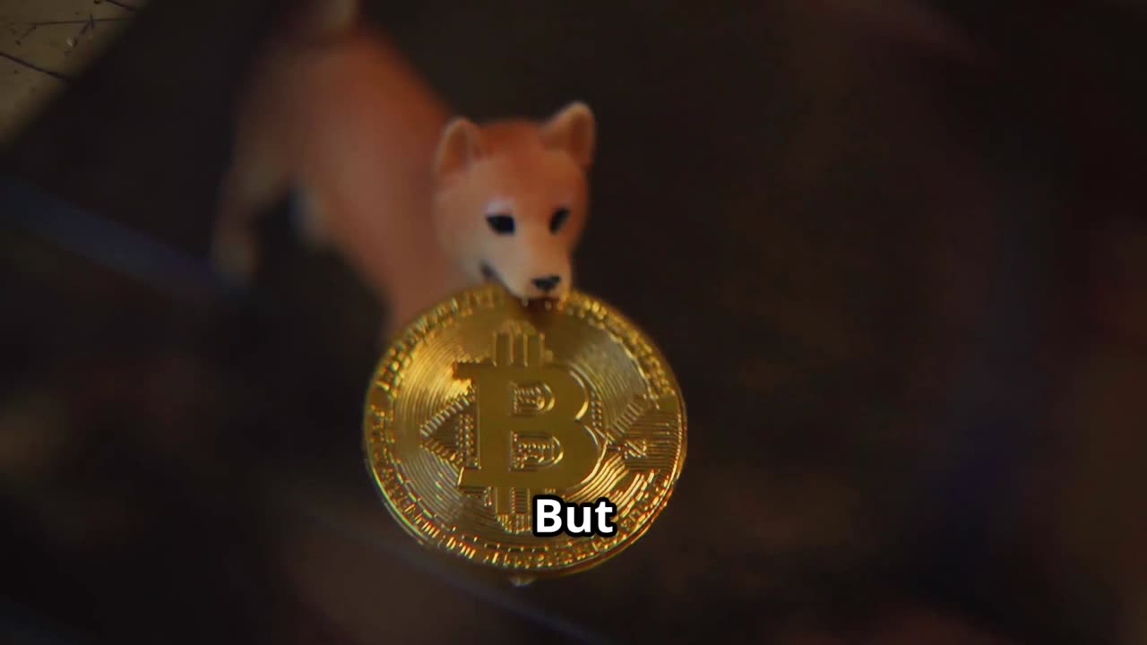Doge