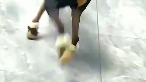 You leave your dog alone for 5 seconds 🐾🫣💥