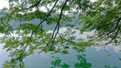 Reflections of Majestic Hills