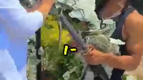 Katana vs Bullet | Mr.beast challenge #katanaVsbullet