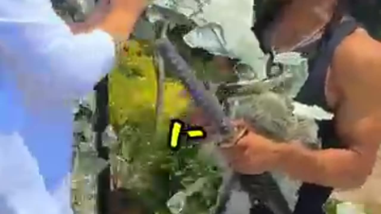 Katana vs Bullet | Mr.beast challenge #katanaVsbullet