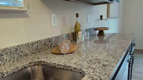 Tour This Nearly New Delaware Ranch Home!