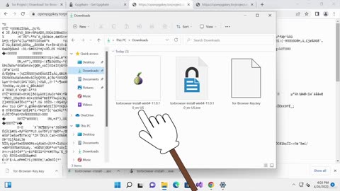 How to secure tor browser