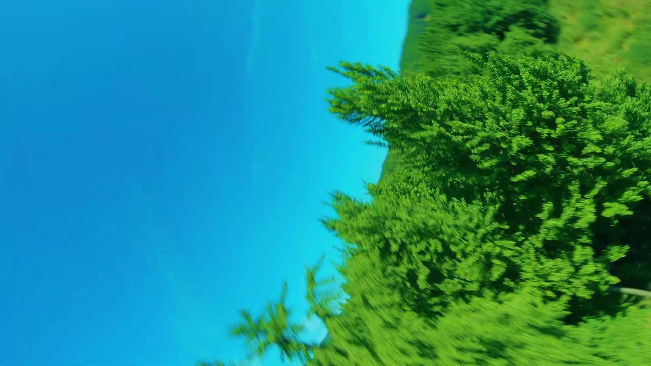 flying in sleep