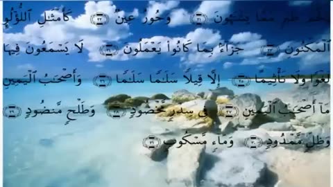 سورة الرحمن + الواقعة + الملك + يس بصوت عبدالله خياط