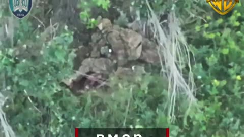 Tandem Drones Scare the BeJesus Out of Russian Soldiers + More