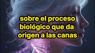 Estudio japonés revela nuevas pistas sobre las canas.