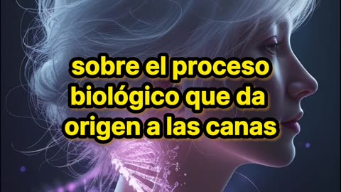 Estudio japonés revela nuevas pistas sobre las canas.