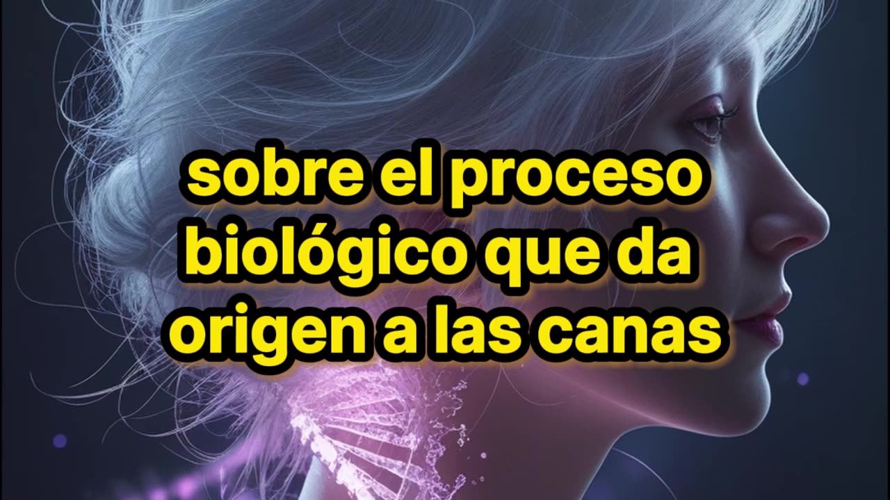 Estudio japonés revela nuevas pistas sobre las canas.