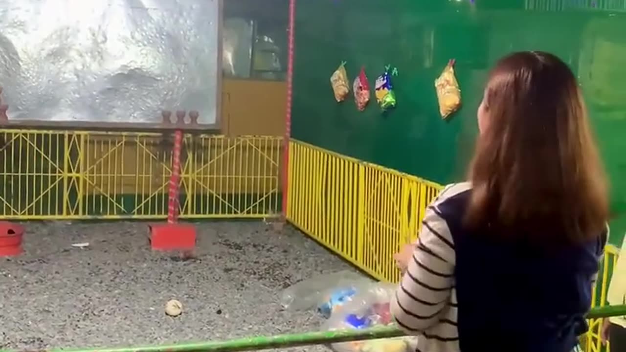 🤯🎲 The Shocking Truth About These 'Rigged' Machines! | FunFM
