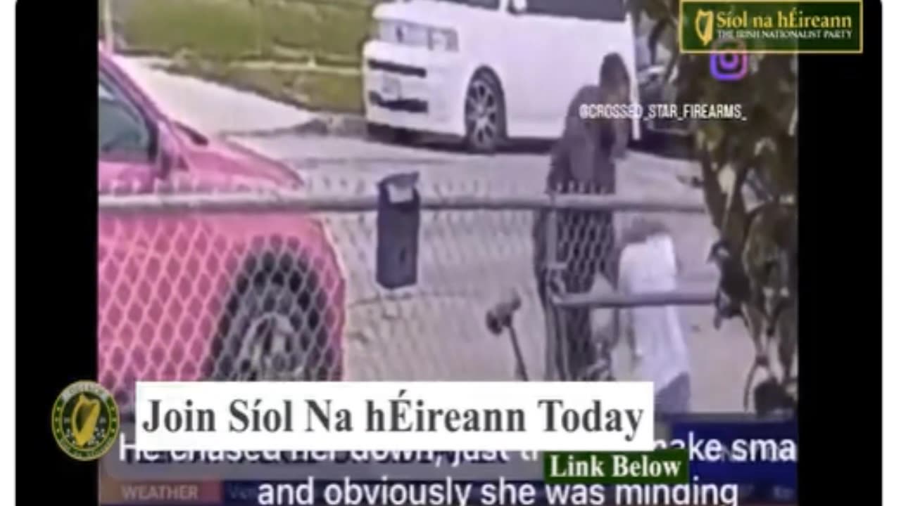 African brutally assaults defenseless white mother just for the fun of it! Thoughts?