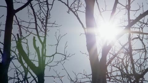 2.BBC.Life-Plazy a obojzivelniky