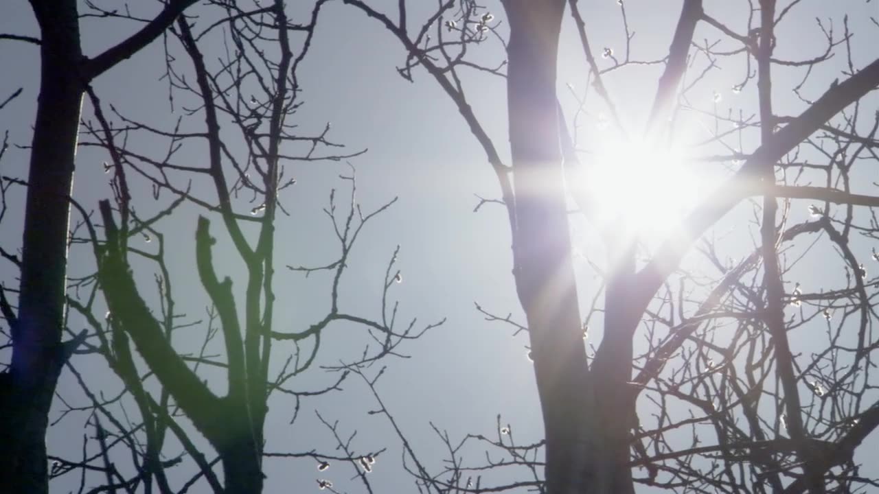 2.BBC.Life-Plazy a obojzivelniky